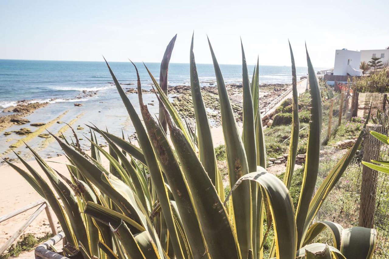 Adosado Nuevo Con Piscina, Playa, Garaje Y Jardin Los Canos De Meca Exterior foto